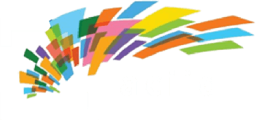 Association des Conseils des Infirmières et Infirmiers du Québec (ACIIQ)